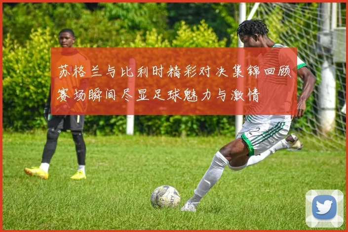 苏格兰与比利时精彩对决集锦回顾赛场瞬间尽显足球魅力与激情