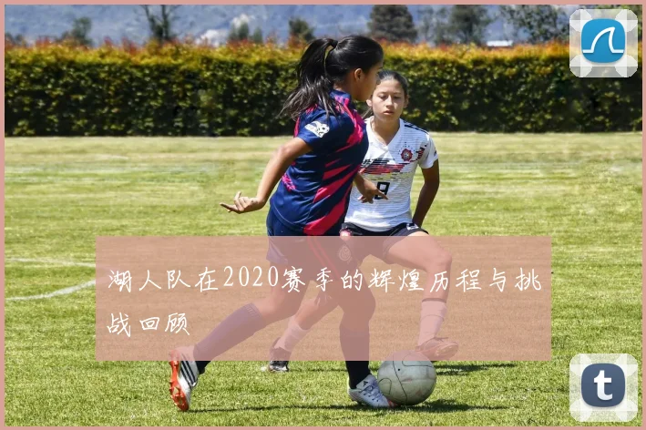 湖人队在2020赛季的辉煌历程与挑战回顾