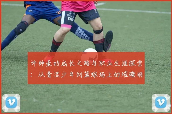 许钟豪的成长之路与职业生涯探索：从青涩少年到篮球场上的璀璨明星