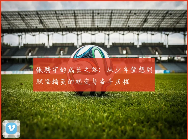 张骋宇的成长之路：从少年梦想到职场精英的蜕变与奋斗历程