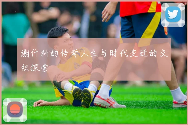 谢什科的传奇人生与时代变迁的交织探索