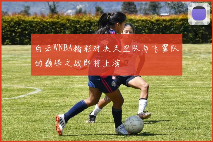 白云WNBA精彩对决天空队与飞翼队的巅峰之战即将上演