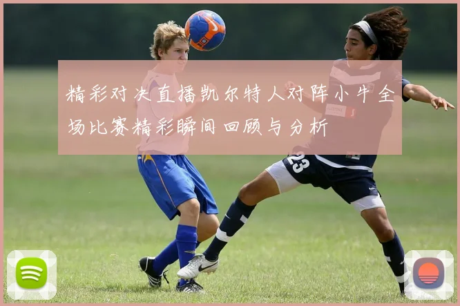 精彩对决直播凯尔特人对阵小牛全场比赛精彩瞬间回顾与分析